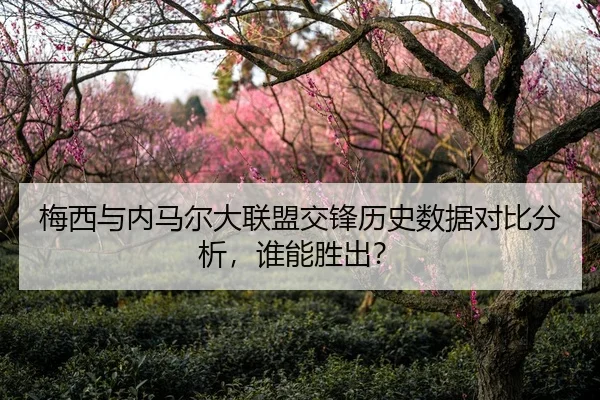 梅西与内马尔大联盟交锋历史数据对比分析，谁能胜出？